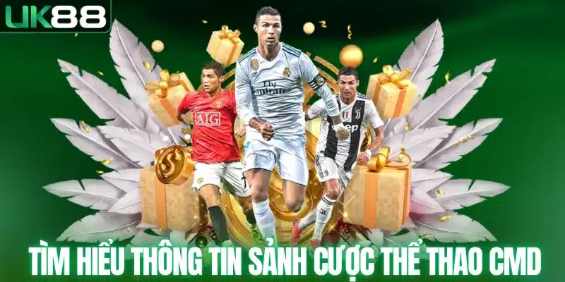 CMD SPORT - Sân Chơi Thể Thao Uy Tín Hàng Đầu Châu Á - mapg